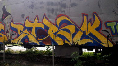 Graffiti Train - Photo by alligatorhater - storm, trs, fcs (2013)