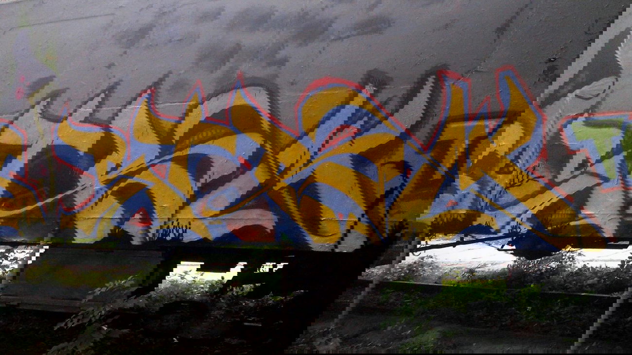Graffiti Train - Photo by alligatorhater - storm, trs, fcs (2013)