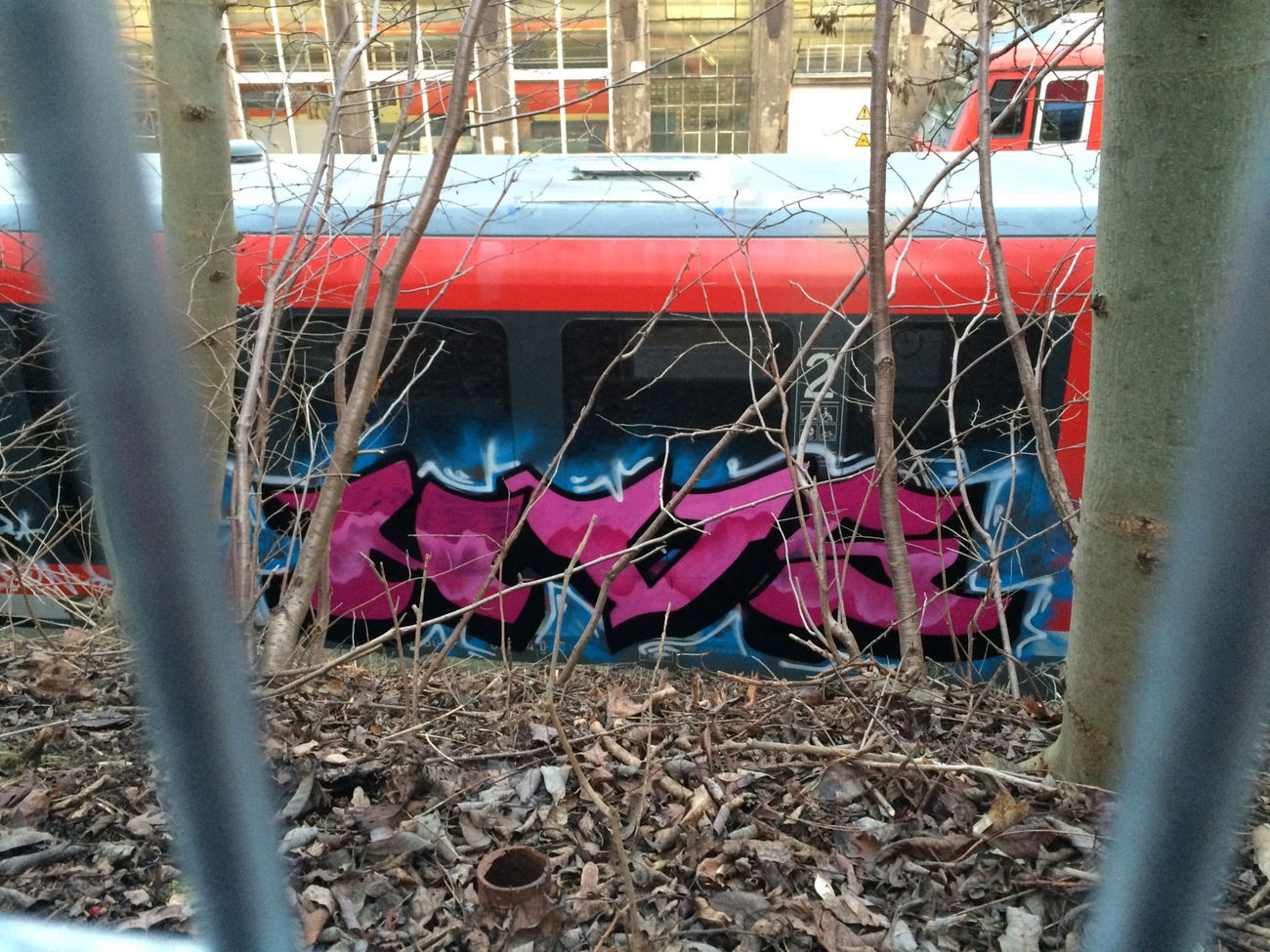 Graffiti Train - Photo by alteshaus - nvs, zwickau