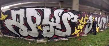 Graffiti Wall in Moscow - Photo by amigoboy (2013)