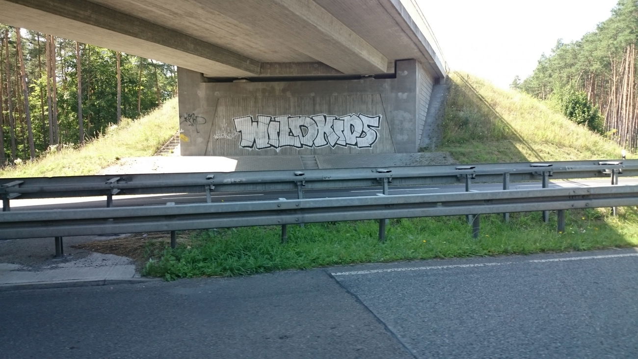 Graffiti Bombing - Photo by andYou