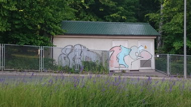 Graffiti Bombing - Photo by andYou