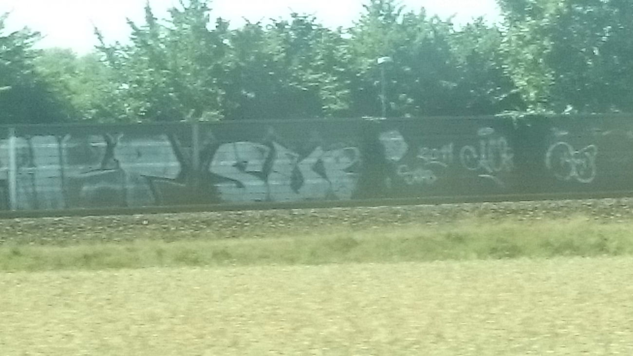 Graffiti Bombing - Photo by andYou