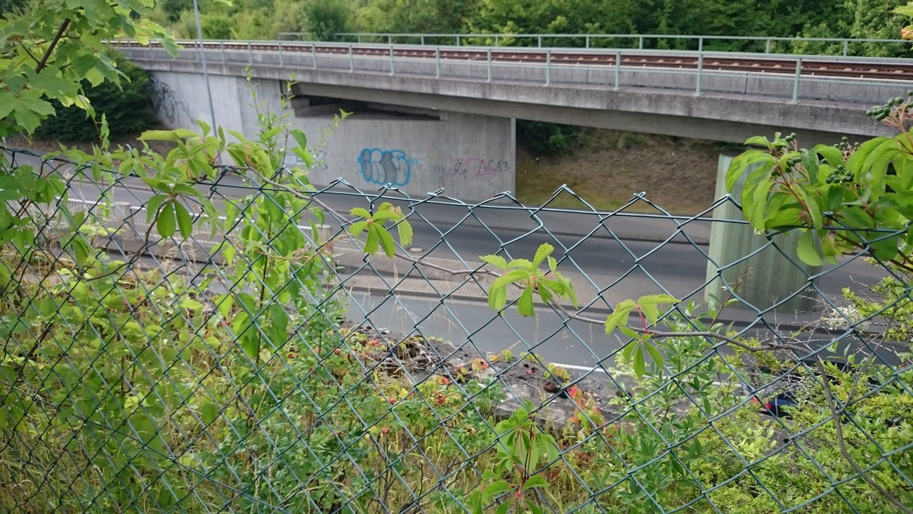 Graffiti Wall - Photo by andYou