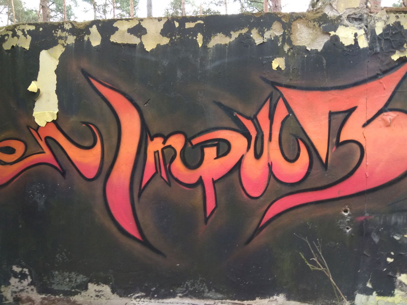 Graffiti Wall in Polska - Photo by anlis