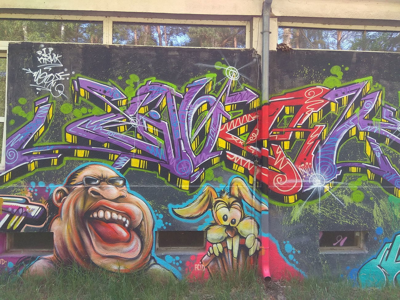 Graffiti Wall in Polska - Photo by anlis