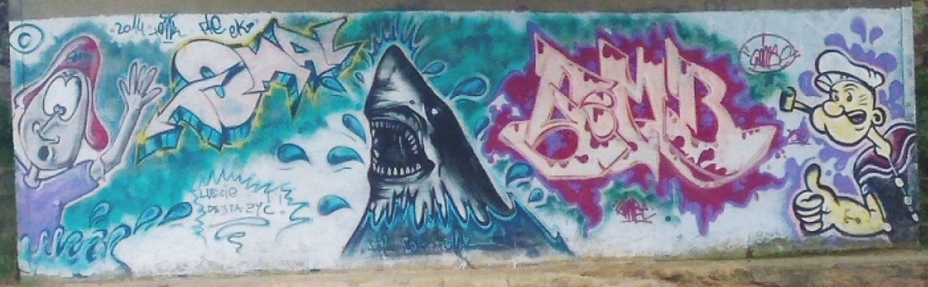 Graffiti Wall in Polska - Photo by anlis