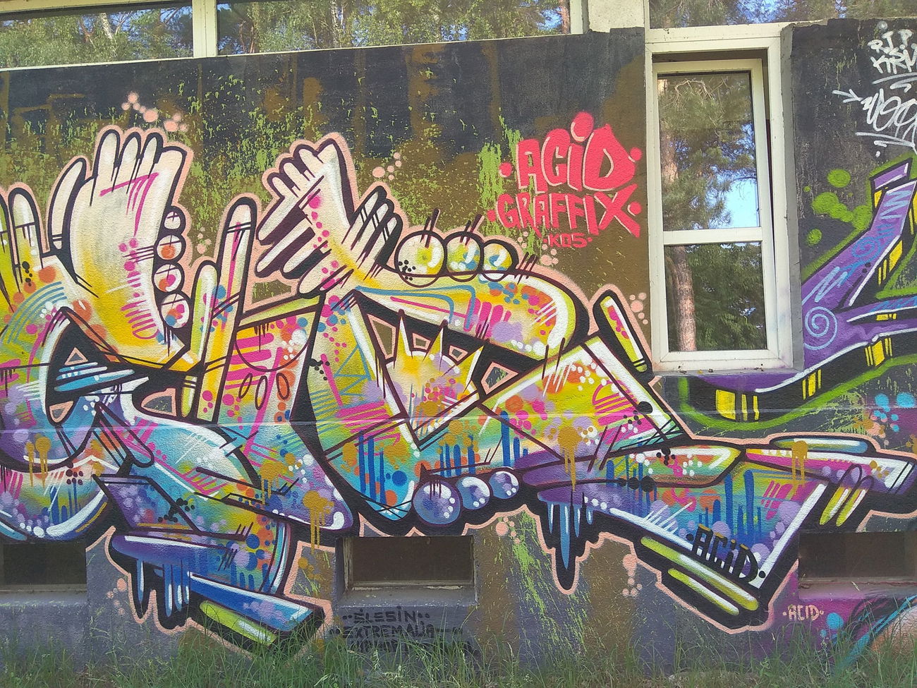 Graffiti Wall in Polska - Photo by anlis