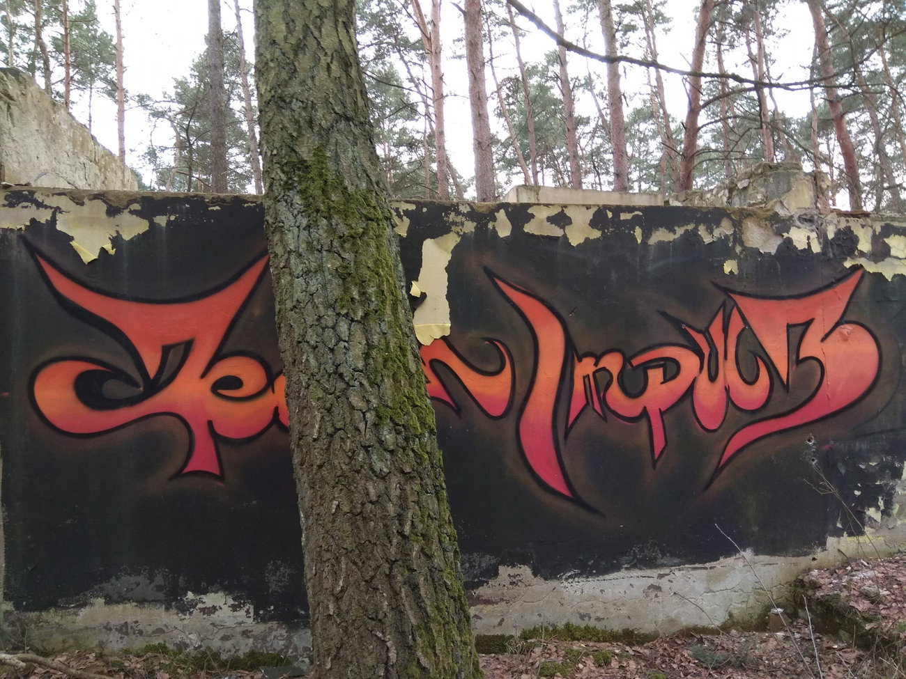 Graffiti Wall in Polska - Photo by anlis