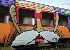 Graffiti Train - Photo by anlis