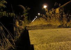 Photo #105431 by Fusseloner