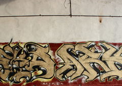 Photo #81147 by Newsu