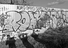 Photo #76296 by Tehsone