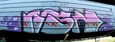 Graffiti Train - Photo by asm1 (2013)