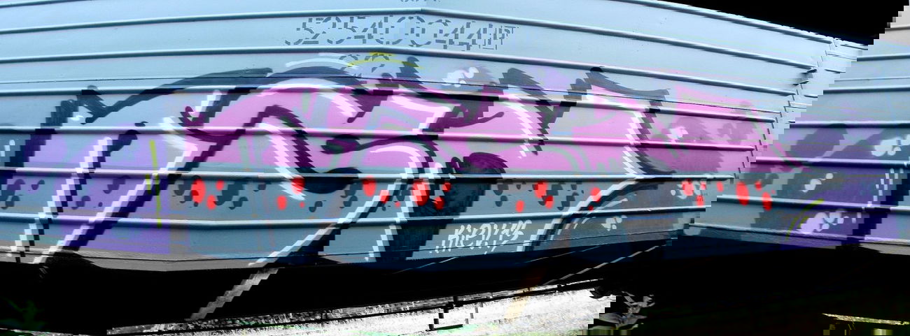 Graffiti Train - Photo by asm1 (2013)