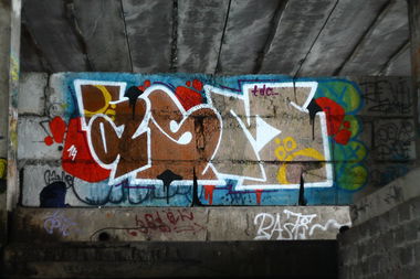 Graffiti Bombing - Photo by asm1 - asm