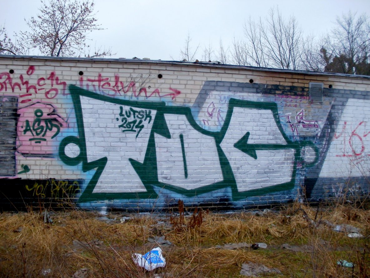 Graffiti Bombing - Photo by asm1 (2014)