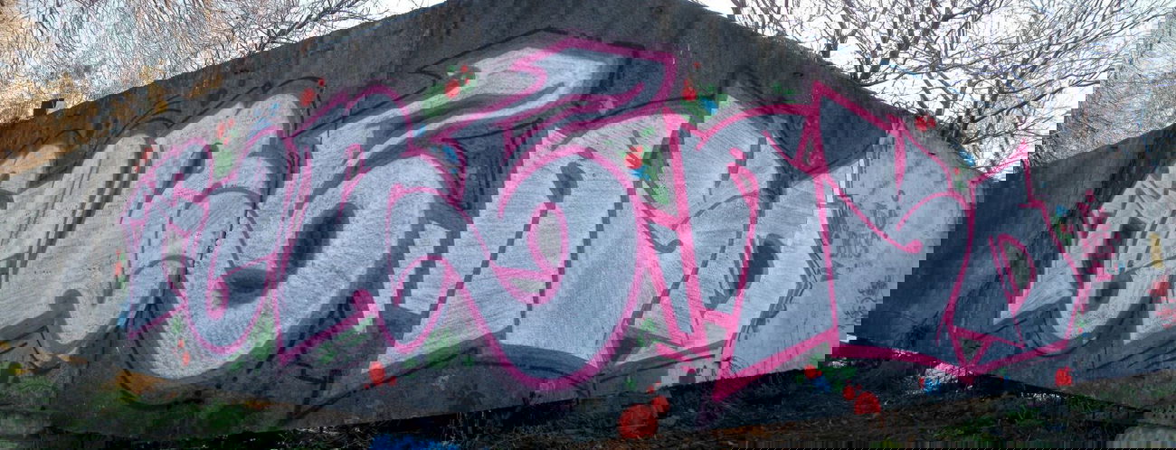 Graffiti Wall - Photo by asm1 - Feb.asm (2014)