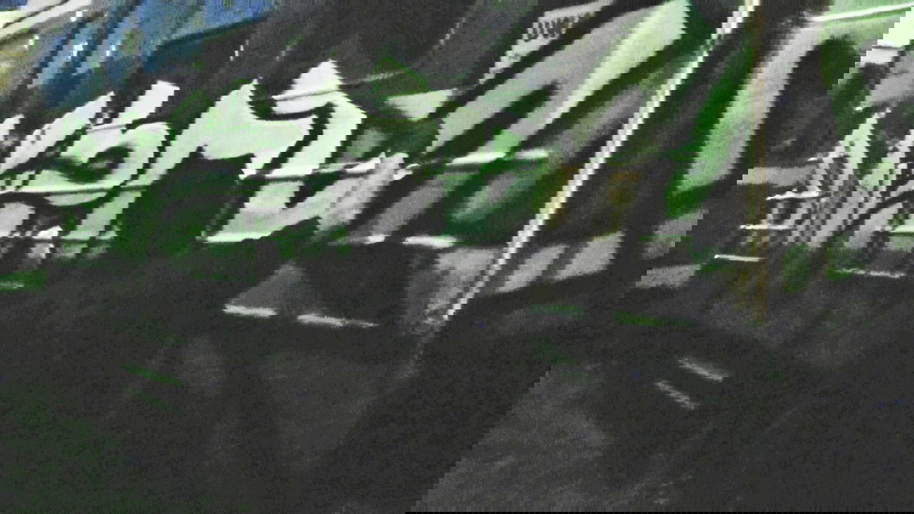 Graffiti Train - Photo by attackos