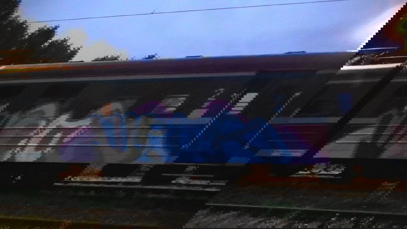 Graffiti Train - Photo by attackos