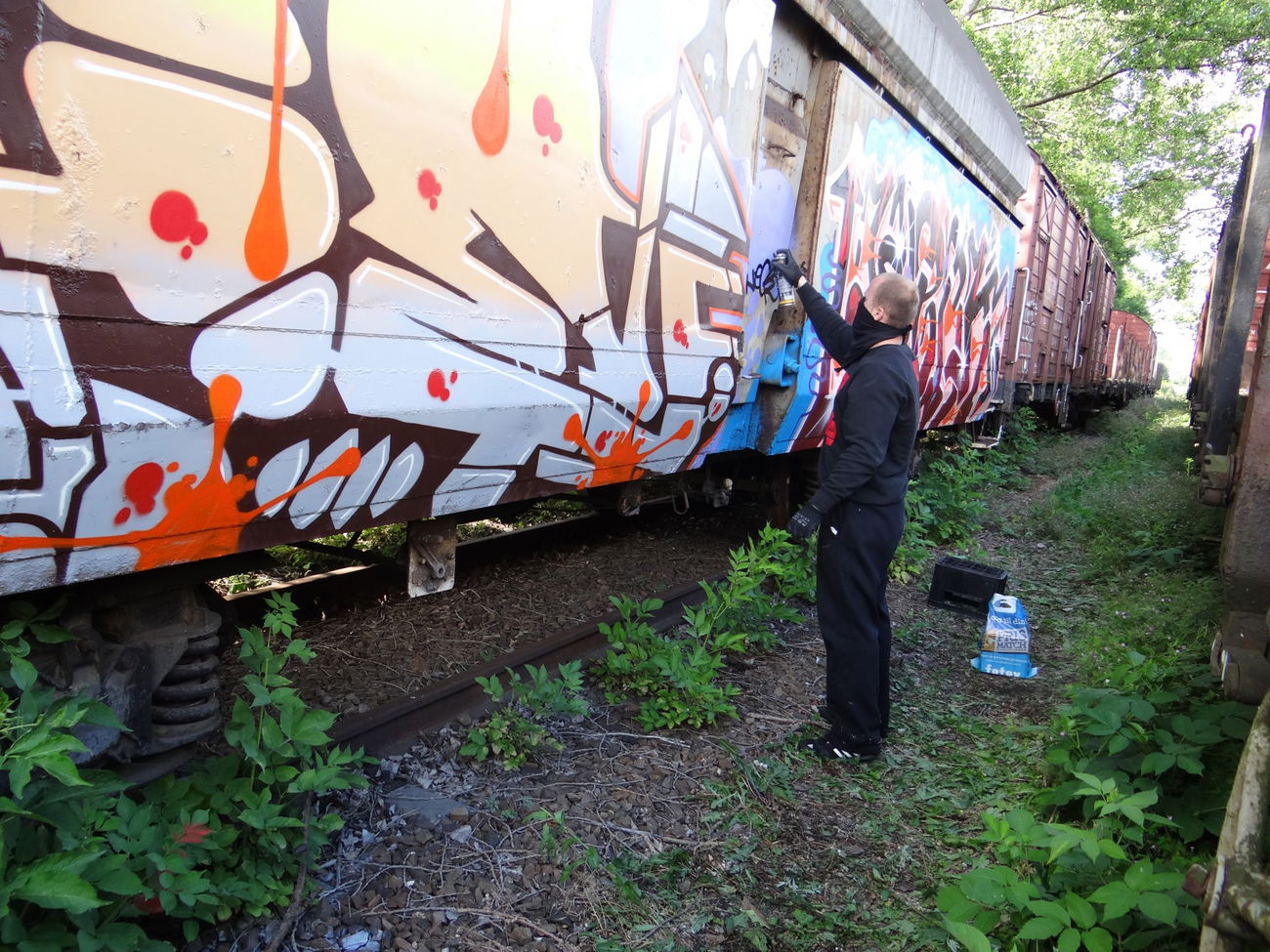Graffiti Train - Photo by attackos