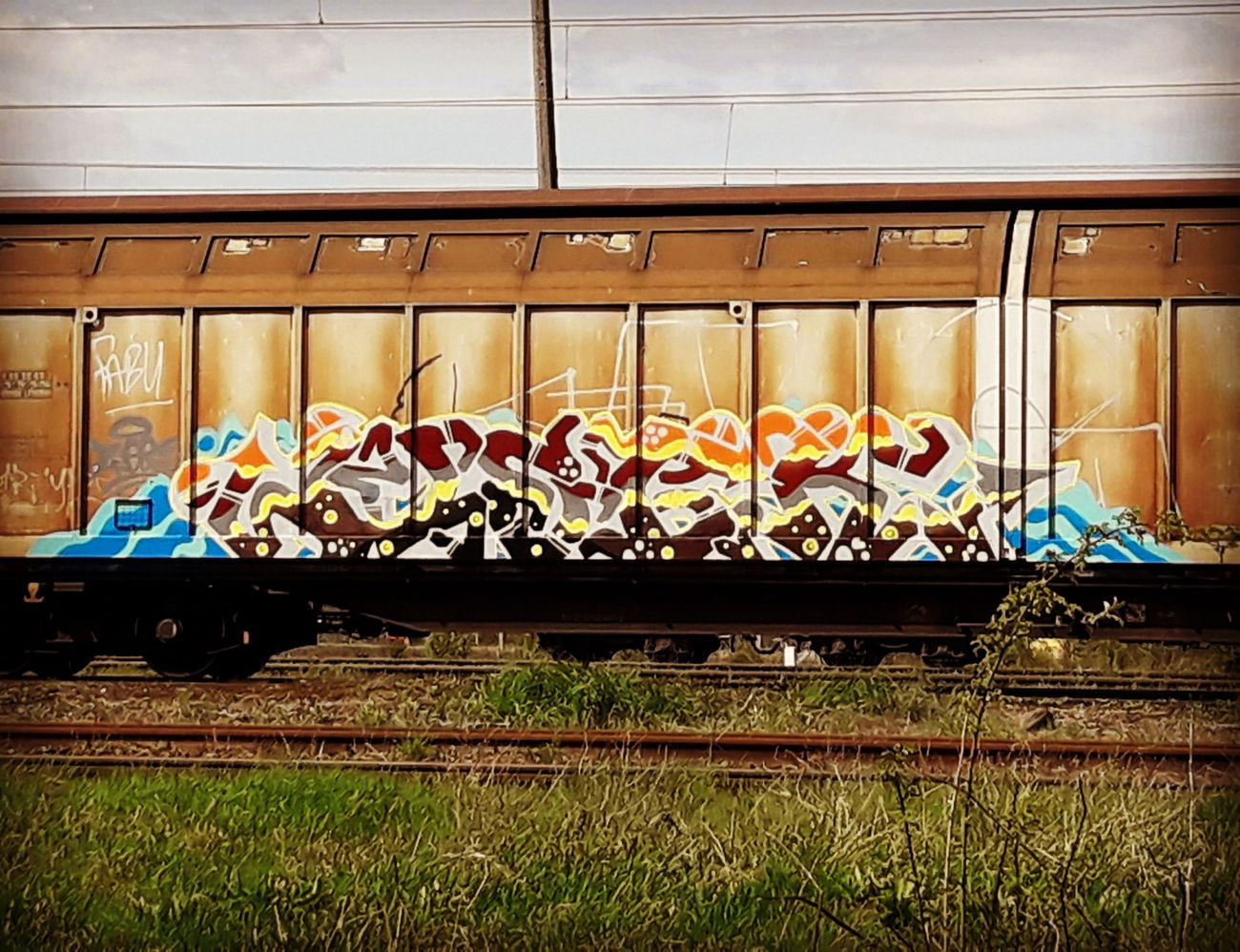 Graffiti Train - Photo by attackos