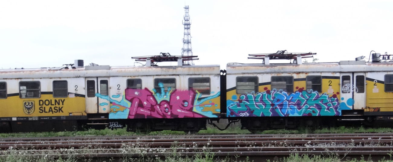 Graffiti Train - Photo by attackos