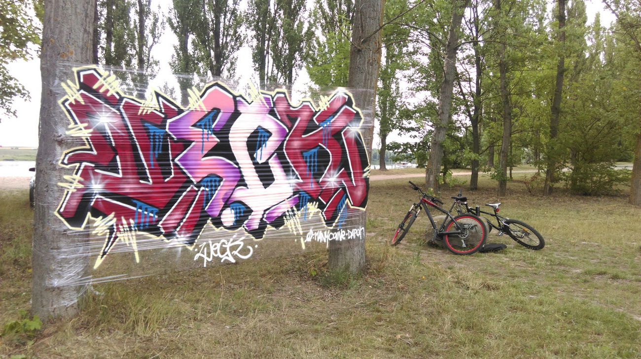 Graffiti Artwork - Photo by attackos