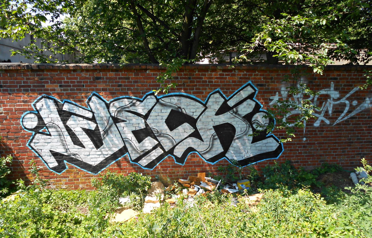 Graffiti Bombing - Photo by attackos