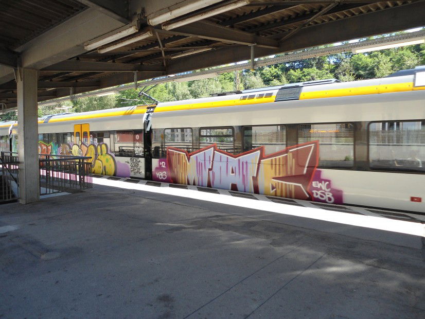 Graffiti Train in Wuppertal - Photo by auslaender - mag, ewc, dsb (2012)