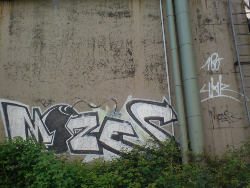 Graffiti Bombing - Photo by auslaender