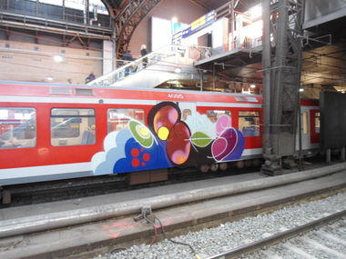 Graffiti Train - Photo by auslaender - hamburg, keine, ahnung (2013)
