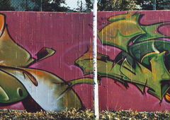 Photo #90509 by Belt