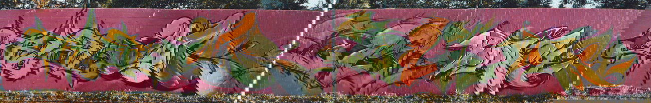 Graffiti Wall - Photo by baker - Baker, Chaos, Joan (2006)