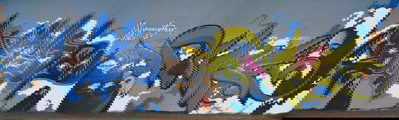 Graffiti Wall - Photo by baker - Baker, Monkey (2009)