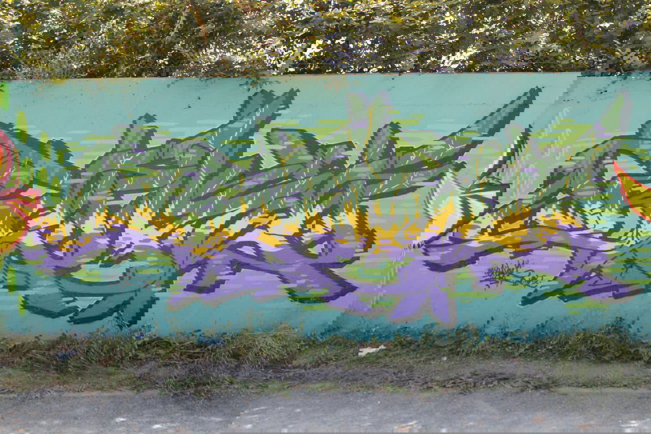 Graffiti Wall - Photo by baker - Baker (2013)