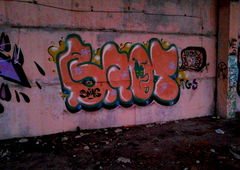 Photo #28020 by Amer_MFLS