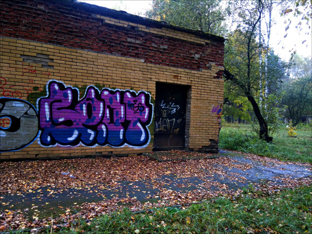 Graffiti Bombing - Photo by baot - baot