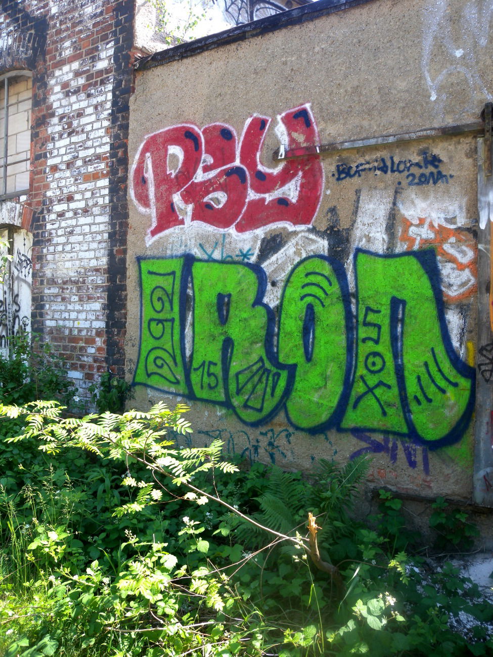 Graffiti Bombing - Photo by barbara - iron, psy
