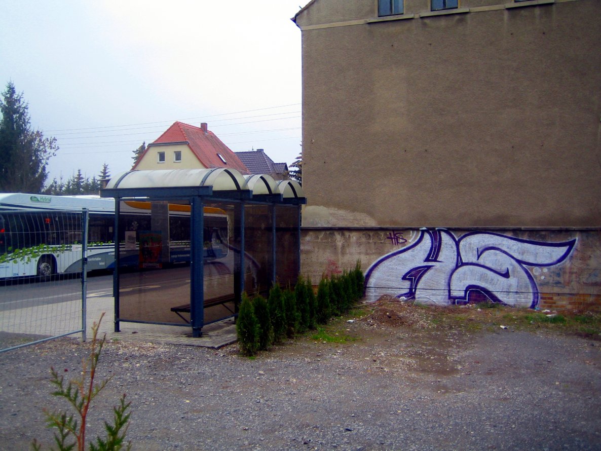 Graffiti Bombing - Photo by barbara