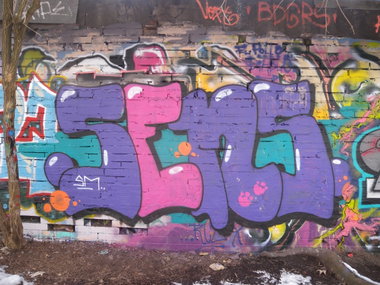 Graffiti Wall - Photo by barbara - sens, sm
