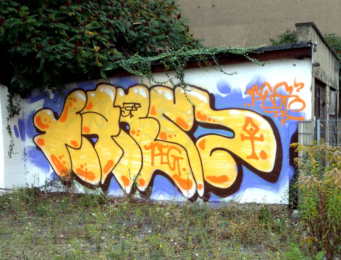 Graffiti Bombing - Photo by barbara - farm, peg