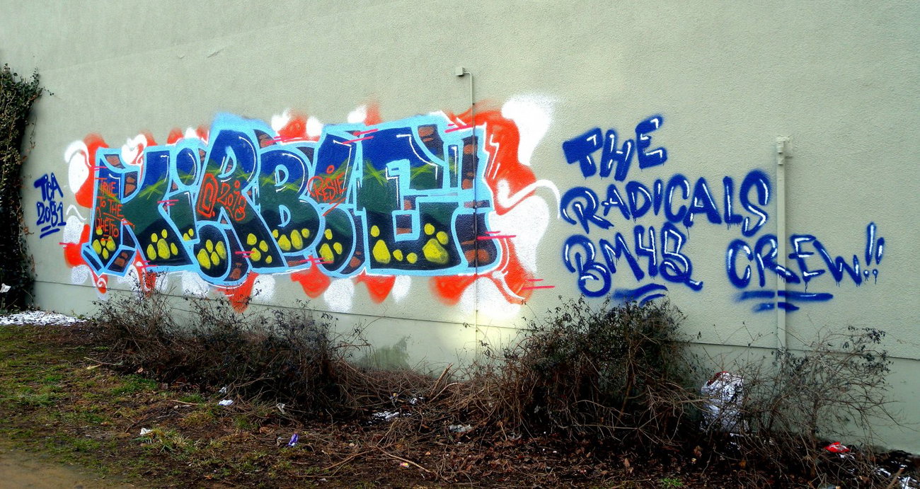 Graffiti Bombing - Photo by barbara - kirbie, tca, the