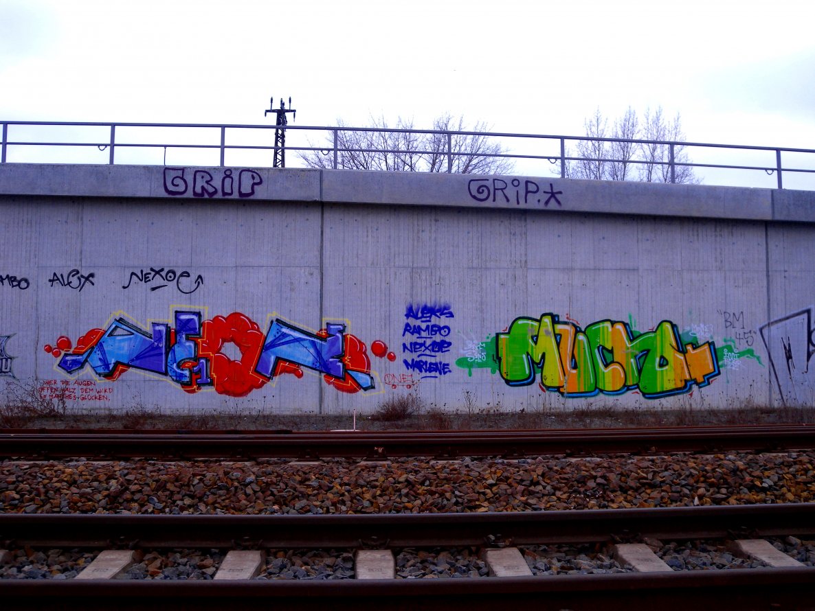 Graffiti Bombing - Photo by barbara - neon, mucho, dne
