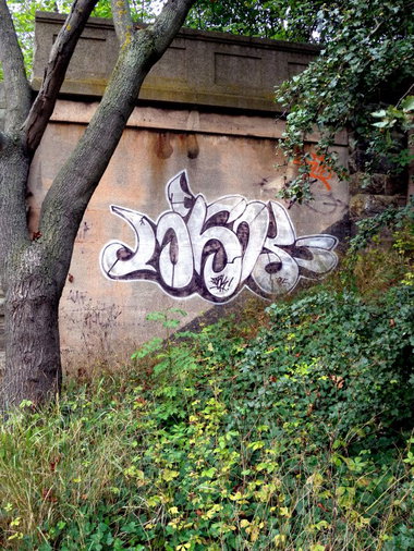 Graffiti Bombing - Photo by barbara - losk