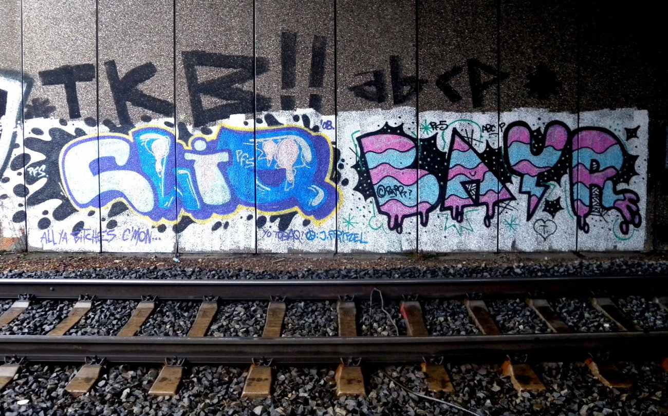 Graffiti Bombing - Photo by barbara