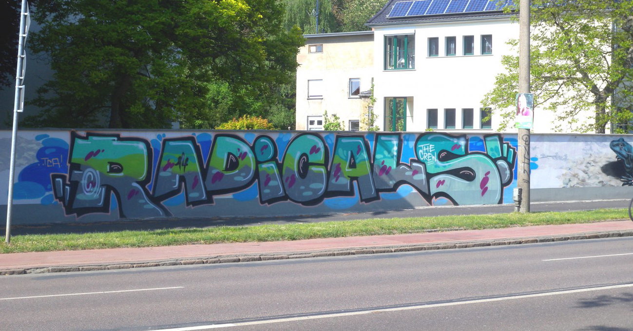 Graffiti Wall - Photo by barbara - radicals, tca, the