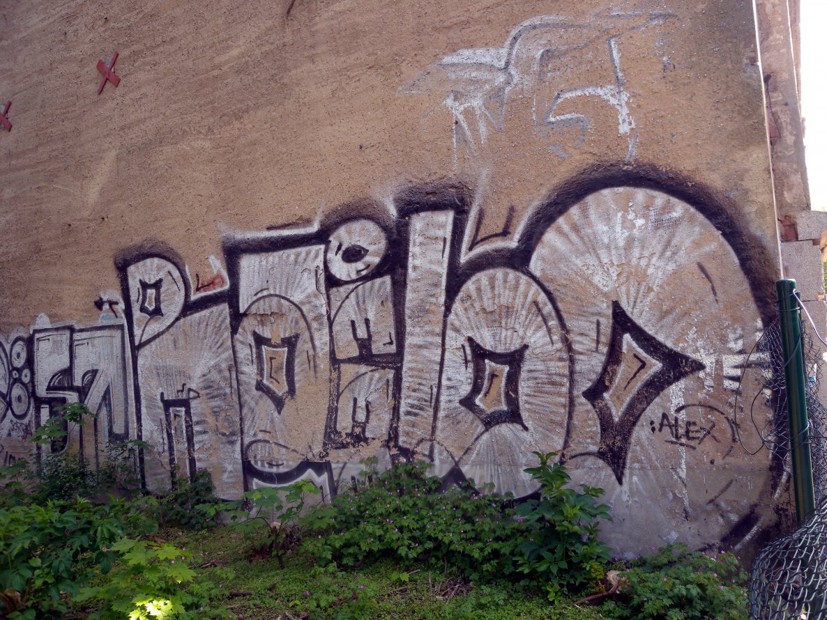 Graffiti Wall - Photo by barbara - rambo, alex