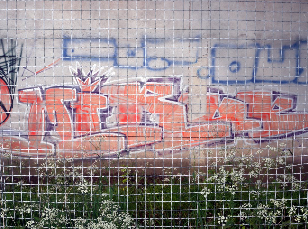 Graffiti Wall - Photo by barbara - miroe, out