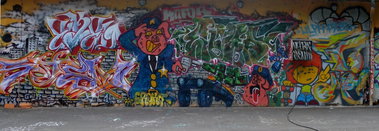 Graffiti Wall - Photo by barbara - stem, rac, crokd